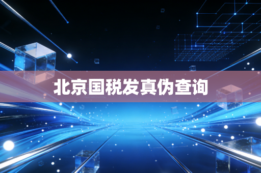 北京国税发真伪查询