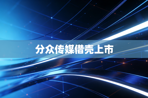 分众传媒借壳上市