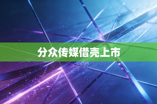 分众传媒借壳上市