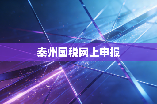 泰州国税网上申报