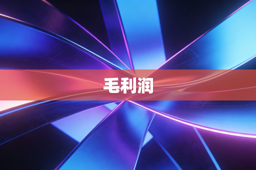 毛利润