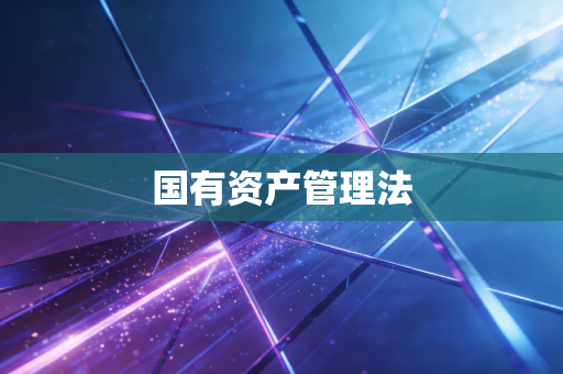 国有资产管理法