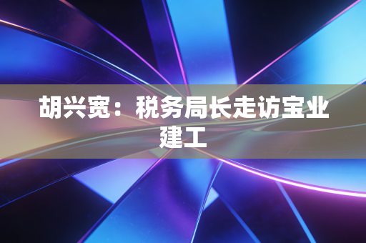 胡兴宽：税务局长走访宝业建工