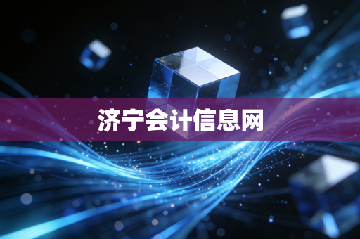 济宁会计信息网