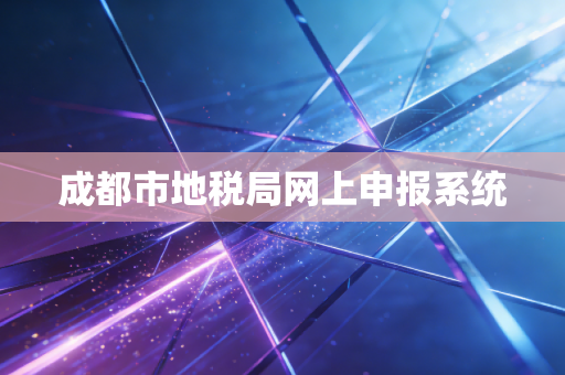 成都市地税局网上申报系统