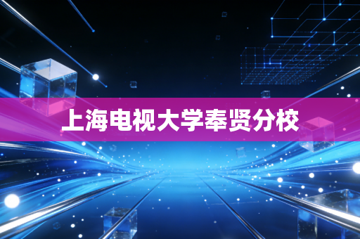 上海电视大学奉贤分校