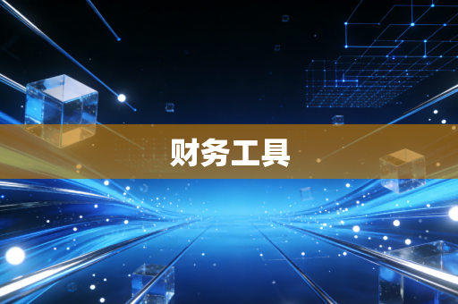 财务工具