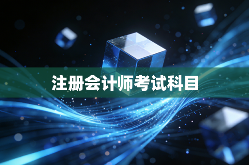 注册会计师考试科目