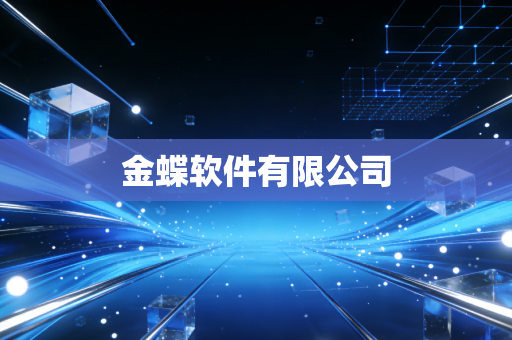 金蝶软件有限公司