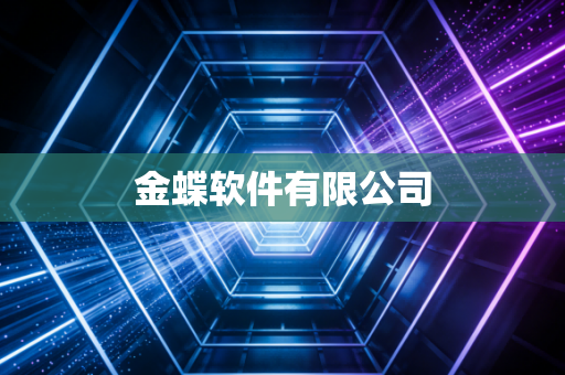 金蝶软件有限公司