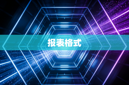 报表格式