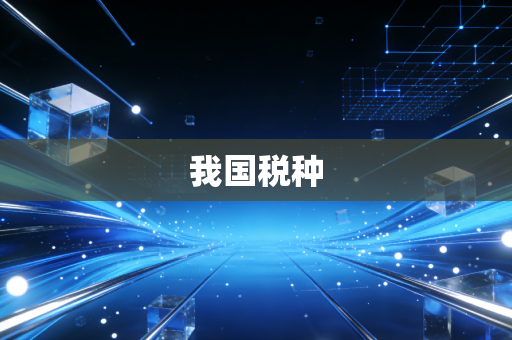 我国税种
