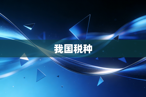 我国税种