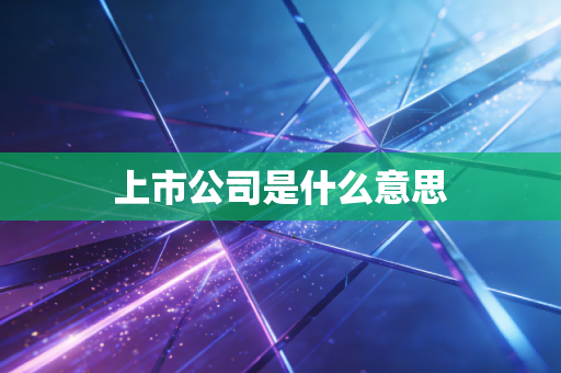上市公司是什么意思