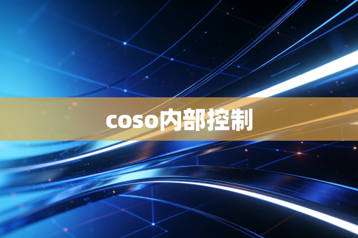 coso内部控制
