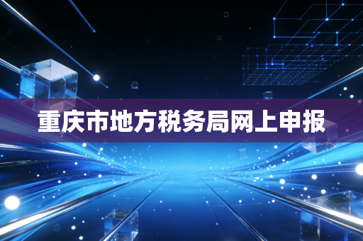重庆市地方税务局网上申报