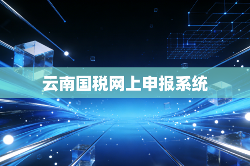 云南国税网上申报系统