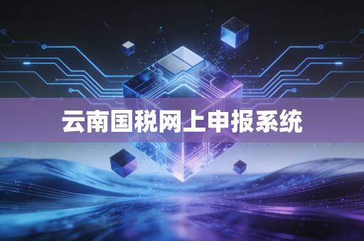 云南国税网上申报系统