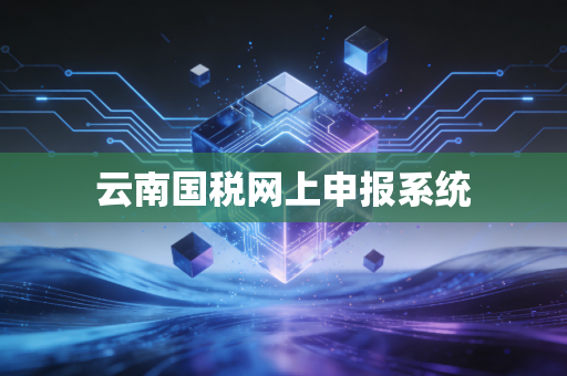 云南国税网上申报系统