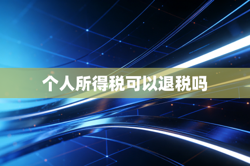 个人所得税可以退税吗