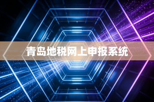 青岛地税网上申报系统
