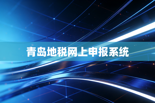 青岛地税网上申报系统