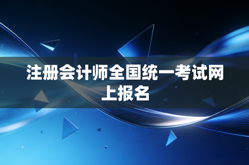 注册会计师全国统一考试网上报名
