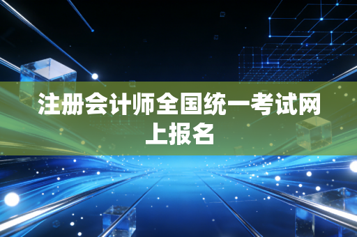 注册会计师全国统一考试网上报名
