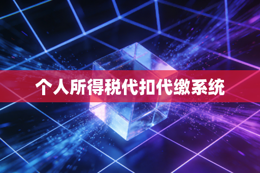 个人所得税代扣代缴系统
