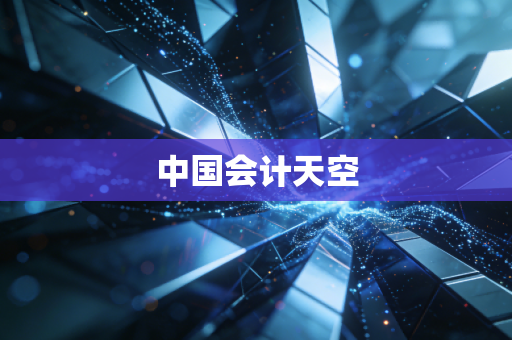 中国会计天空