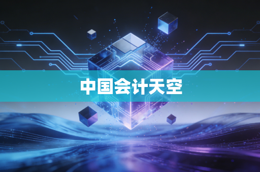 中国会计天空