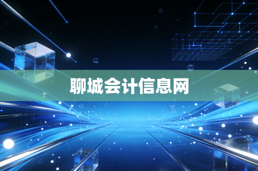 聊城会计信息网