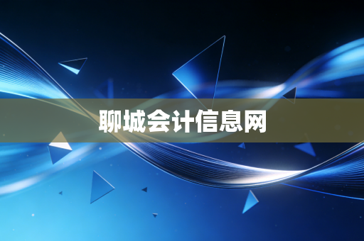 聊城会计信息网