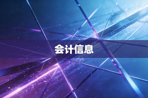 会计信息