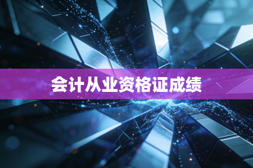 会计从业资格证成绩