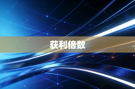 获利倍数