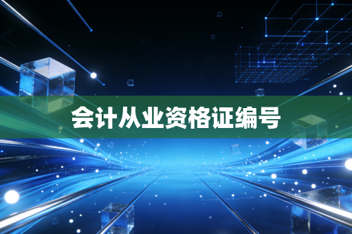 会计从业资格证编号