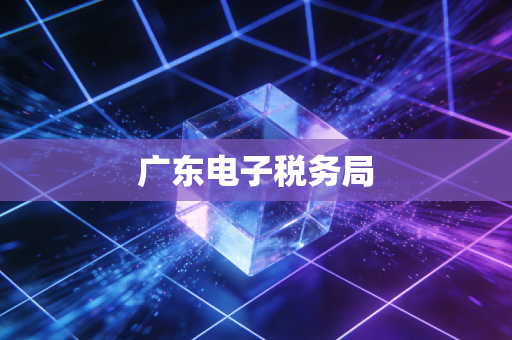 广东电子税务局