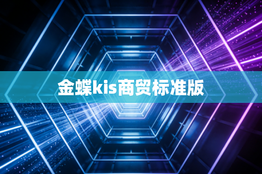 金蝶kis商贸标准版