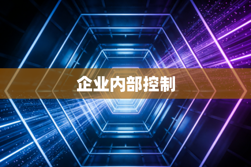企业内部控制