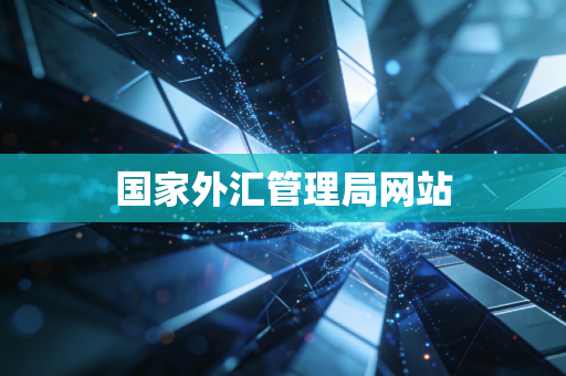 国家外汇管理局网站
