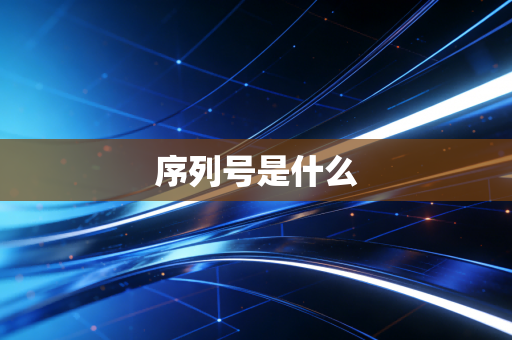 序列号是什么