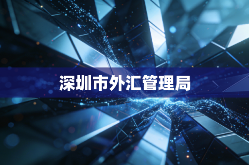 详细阅读:深圳市外汇管理局 深圳市外汇管理局