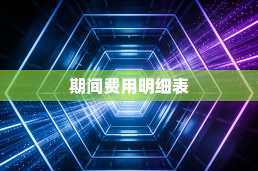 期间费用明细表