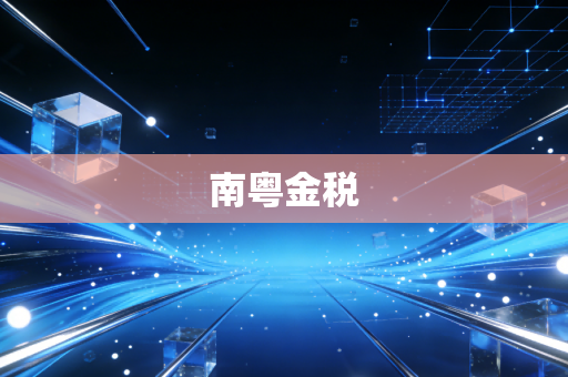 南粤金税