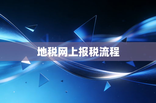 地税网上报税流程