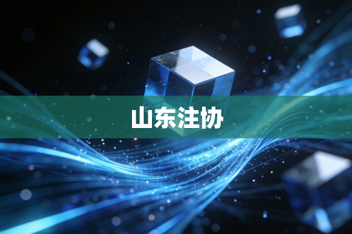 山东注协