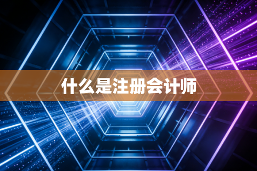什么是注册会计师