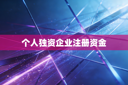 个人独资企业注册资金