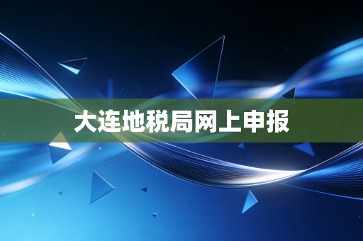 大连地税局网上申报